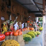 FALL IS IN THE AIR AT YARD MASTER!