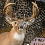 LET US HELP YOU BAG THE BIG BUCK!
